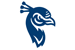 Saint Peter's University logo