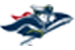 Southern New Hampshire University logo