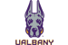 University at Albany logo