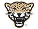 University of La Verne logo