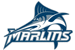 Virginia Wesleyan University logo