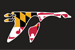 Washington College (Maryland) logo