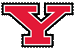 Youngstown State University logo