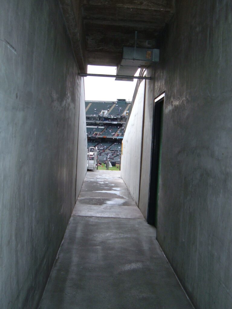 Network Associates Coliseum image 3