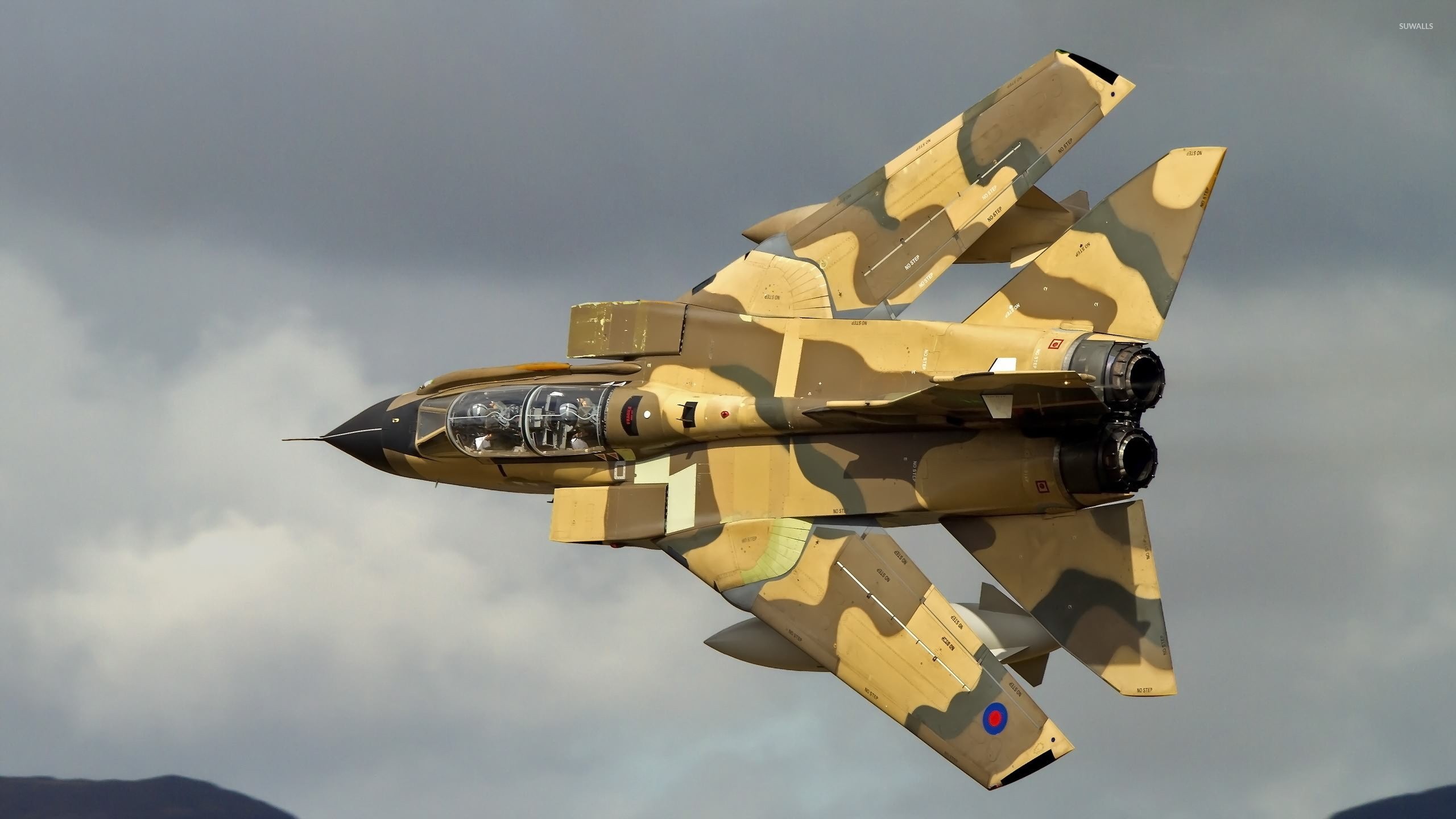 Panavia Tornado - Panavia Tornado [4] wallpaper - Aircraft wallpapers - #46586