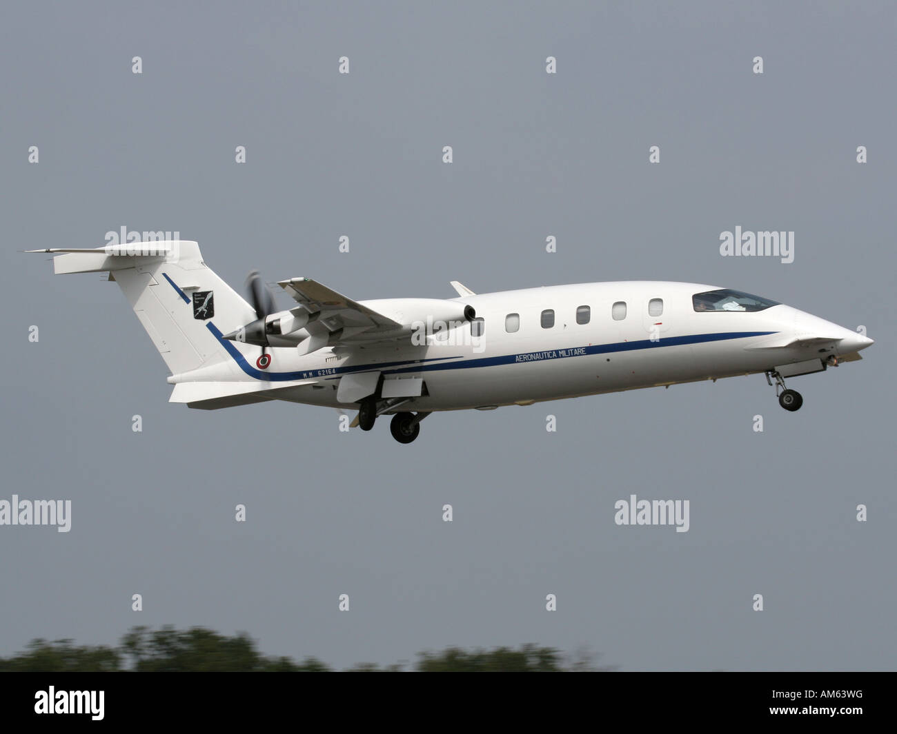 Piaggio P.180 Avanti - Canard foreplane hi-res stock photography and images - Alamy