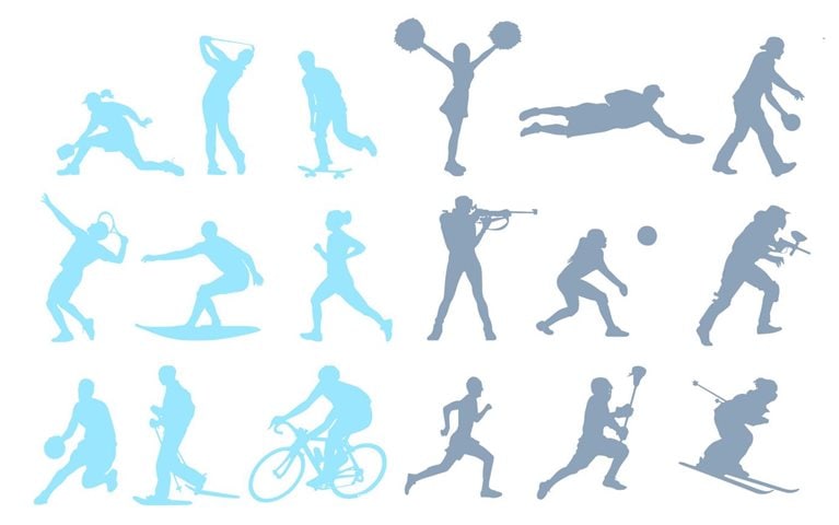 Pickleball nets fans