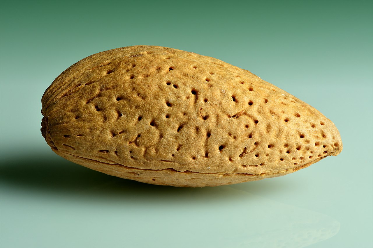 Almond