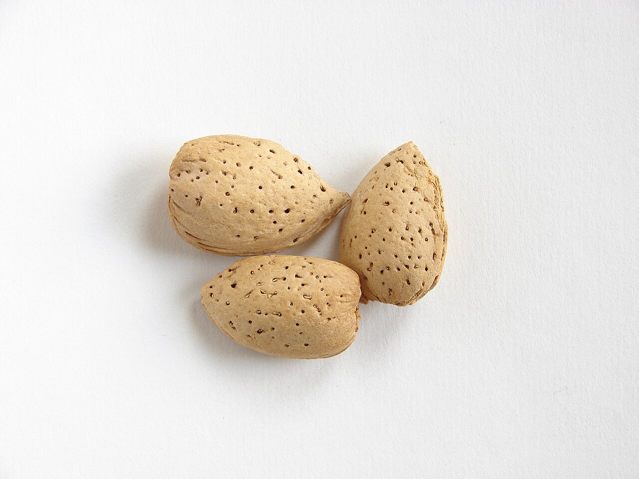 Almond