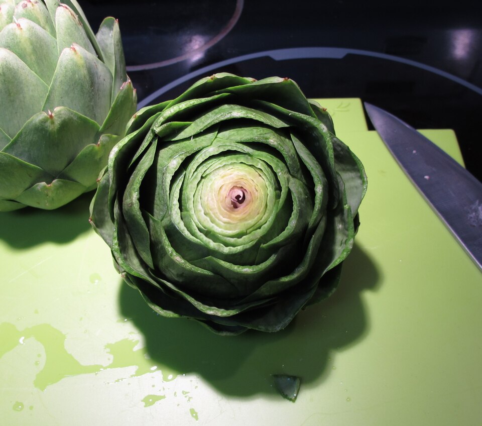 Artichoke