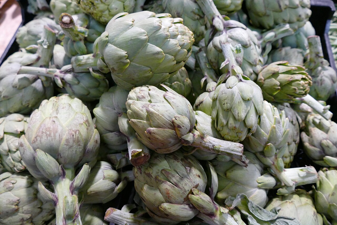 Artichoke
