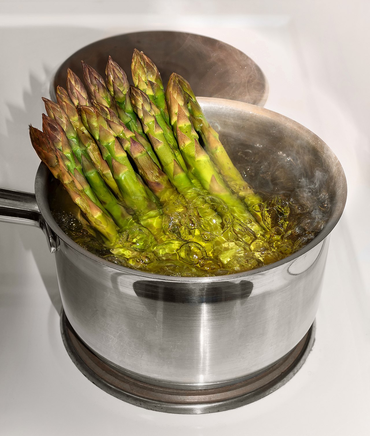 Asparagus and Monocot Shoots