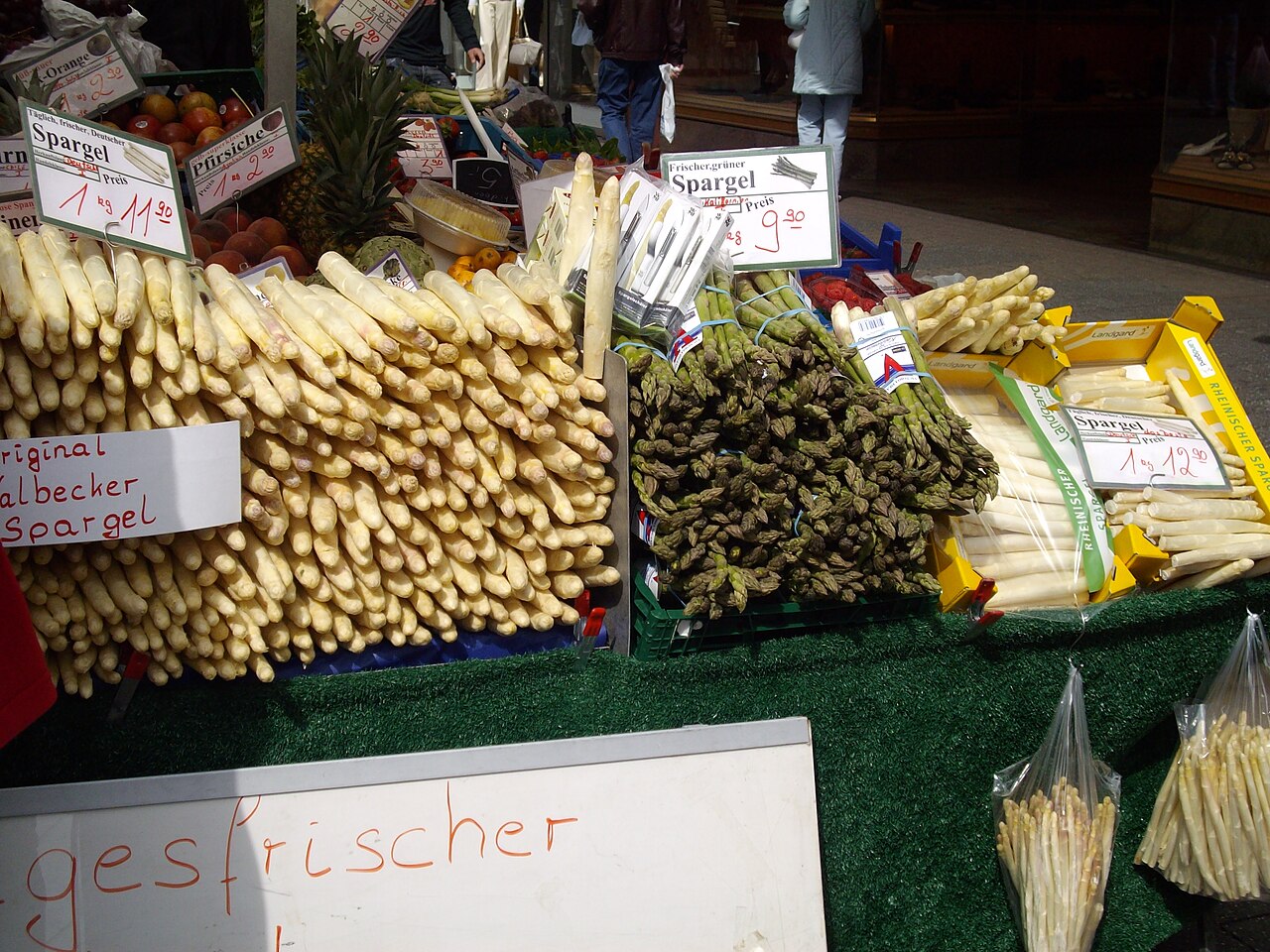Asparagus and Monocot Shoots