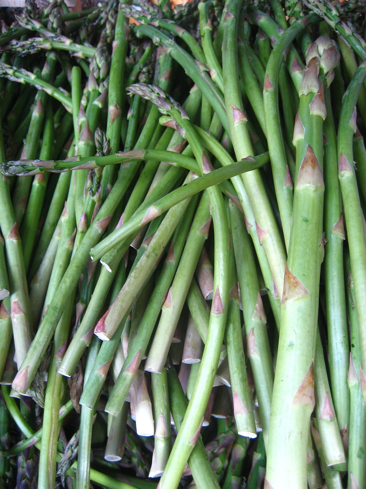 Asparagus and Monocot Shoots