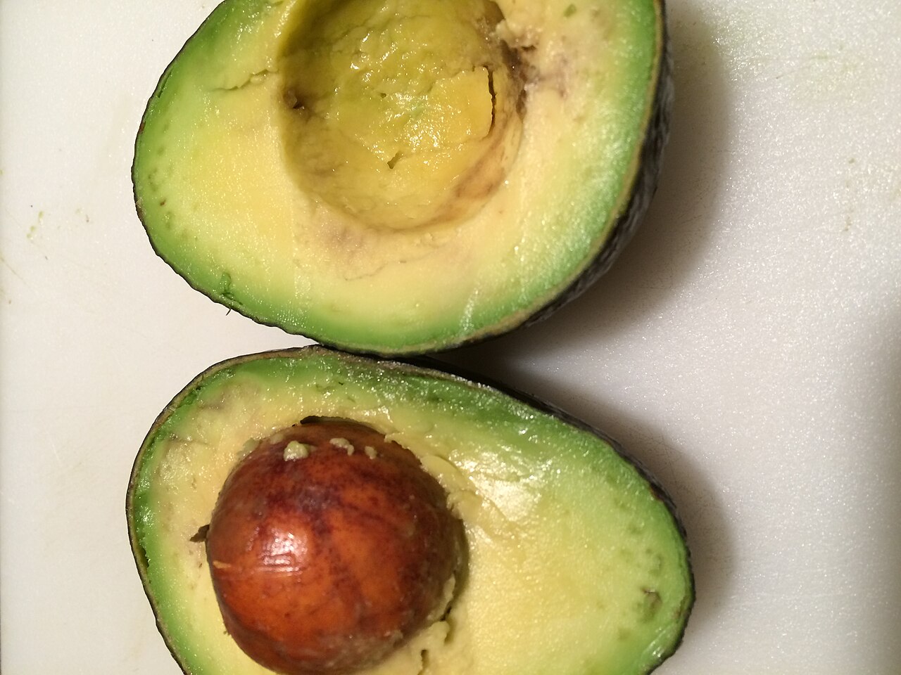 Avocado