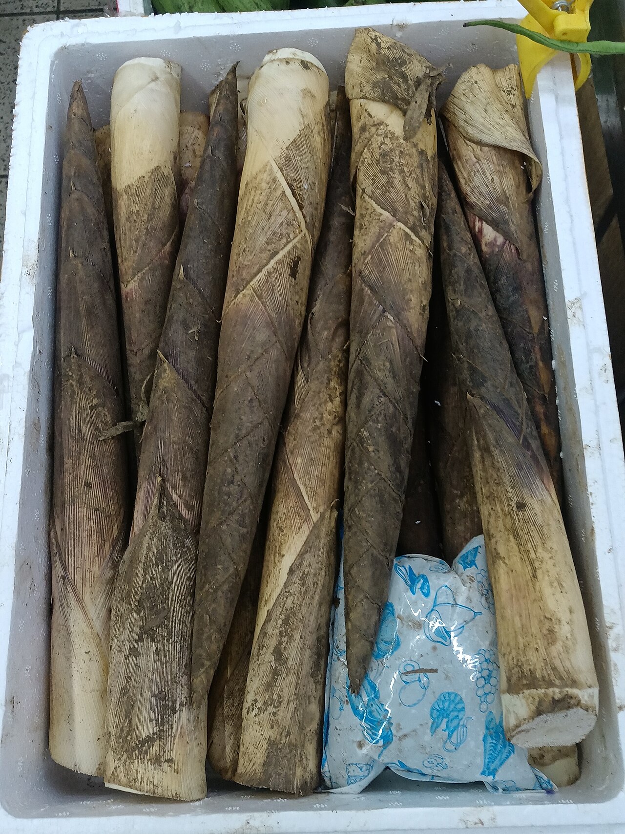 Bamboo shoots