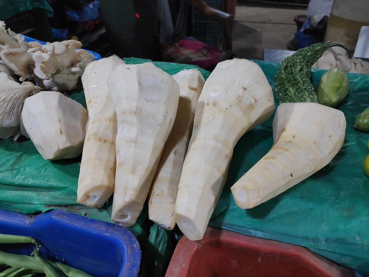 Bamboo shoots