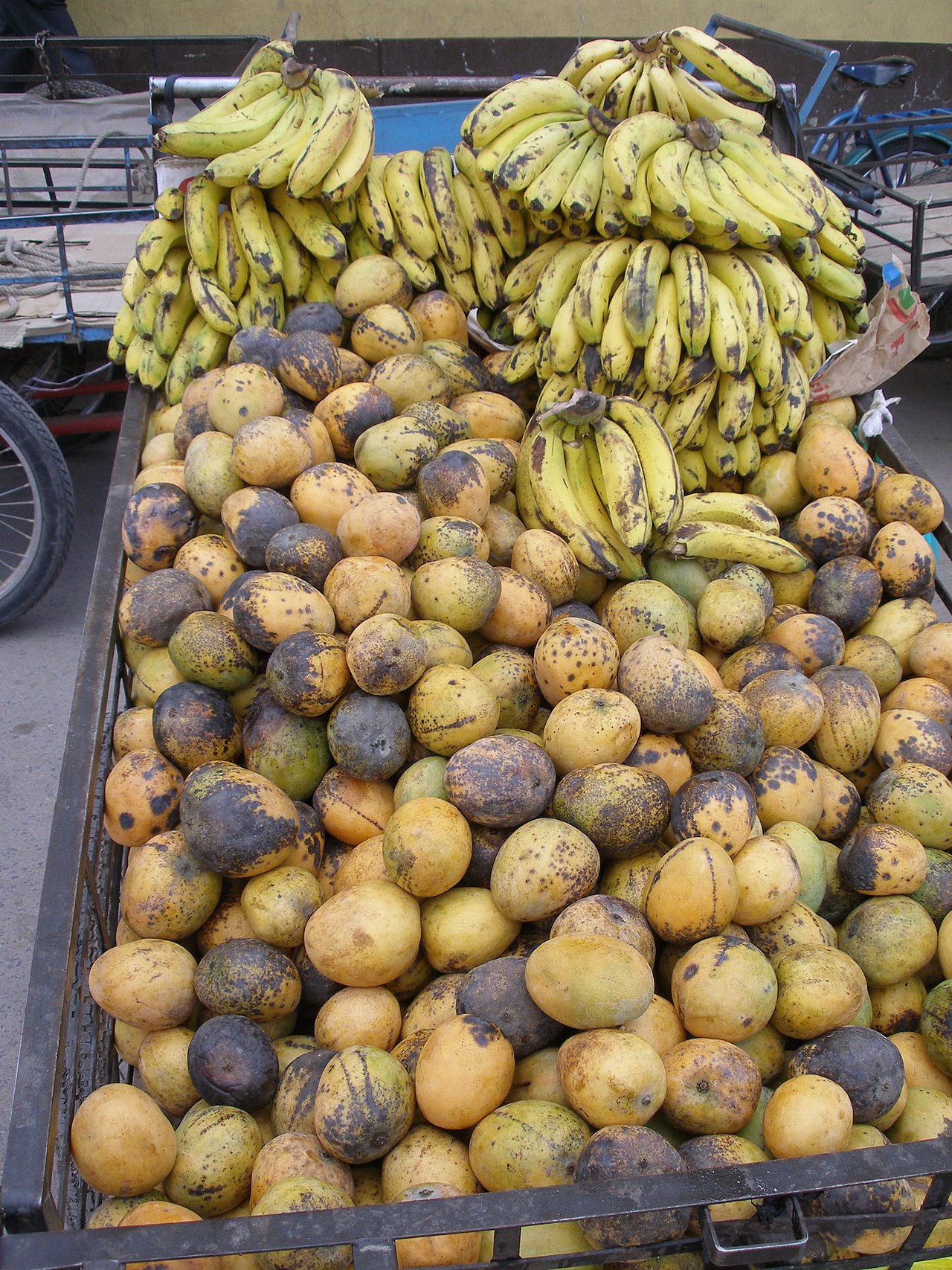Bananas and Plantains