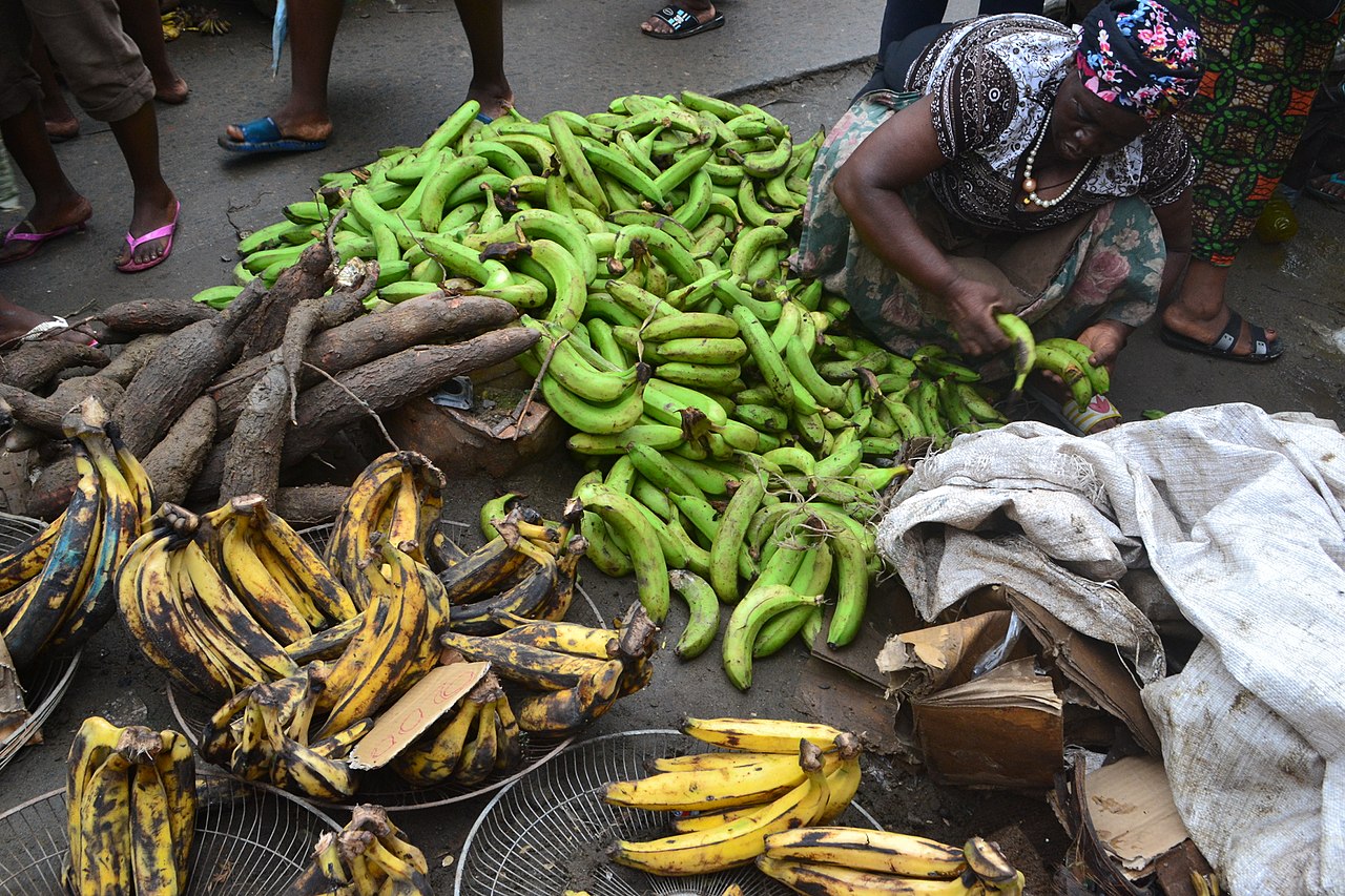 Bananas and Plantains