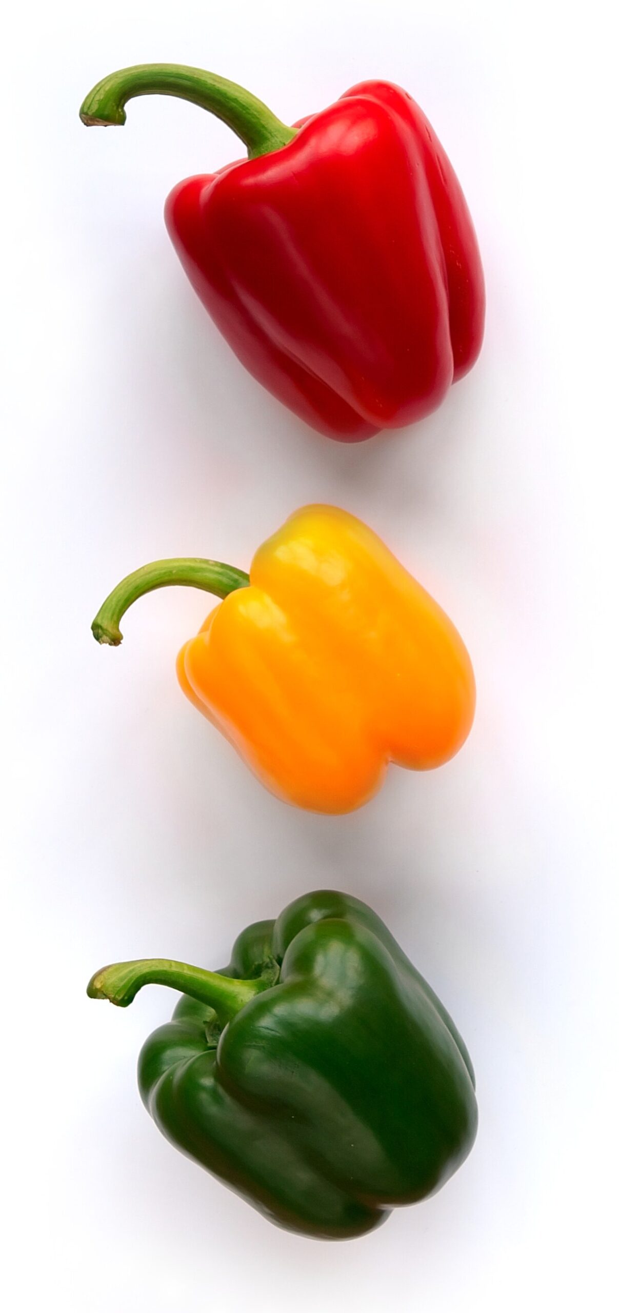 Bell pepper