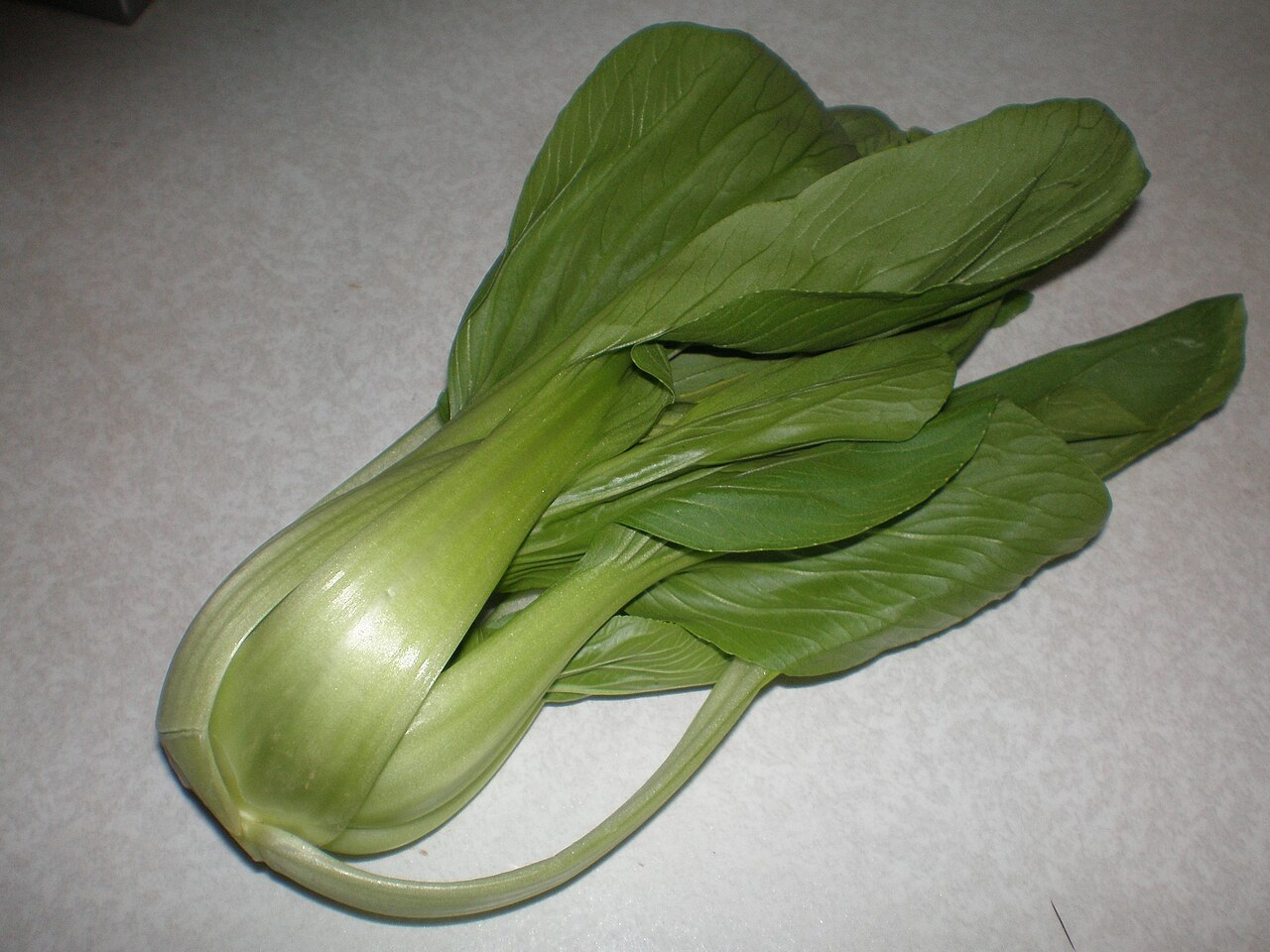 Bok choy