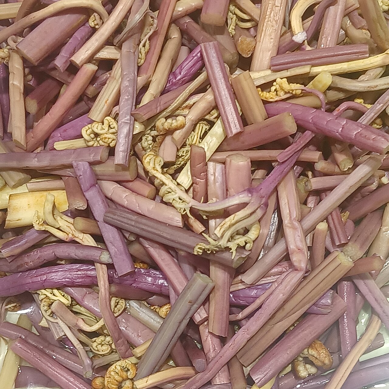 Bracken (Traditional Use)