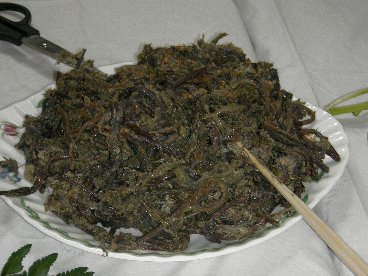 Bracken (Traditional Use)