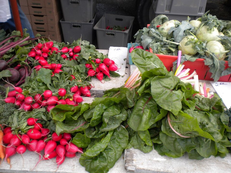 Brassicas
