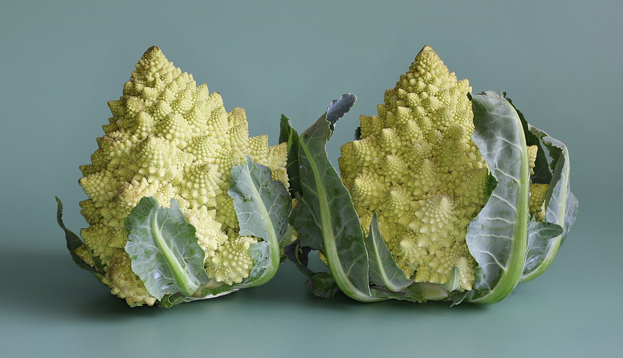 Broccoli