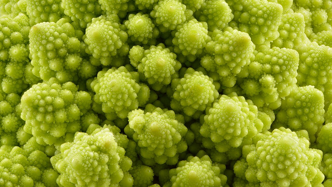 Broccoli