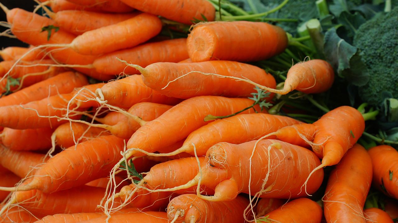 Carrots and Umbels