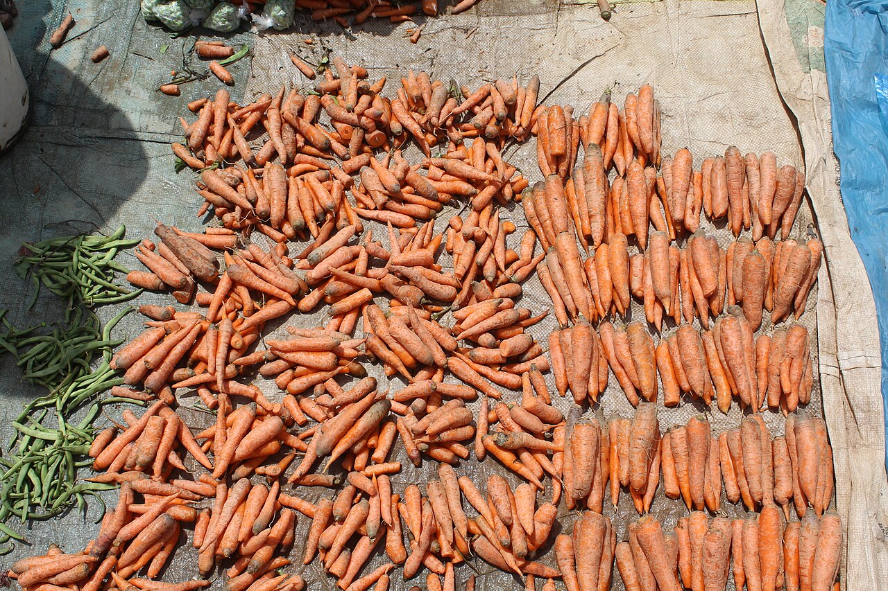 Carrots and Umbels