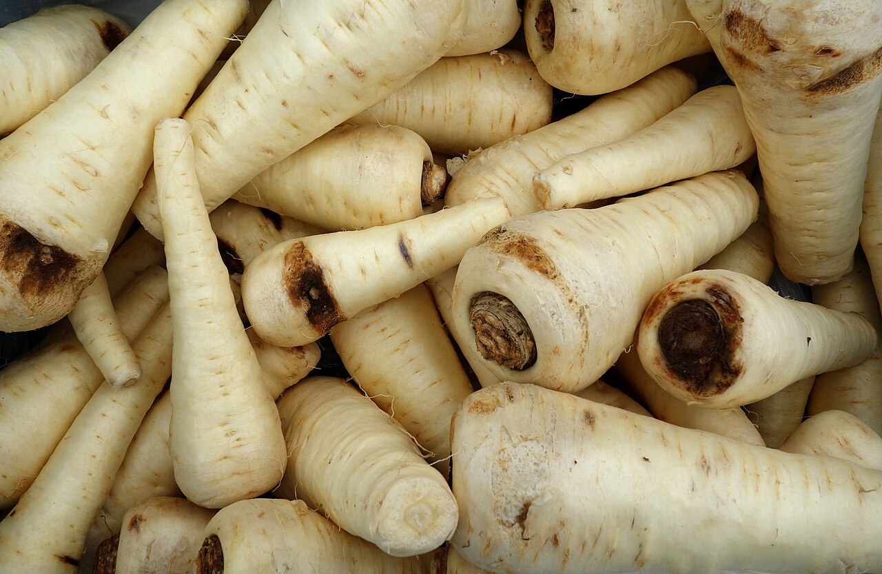 Carrots and Umbels