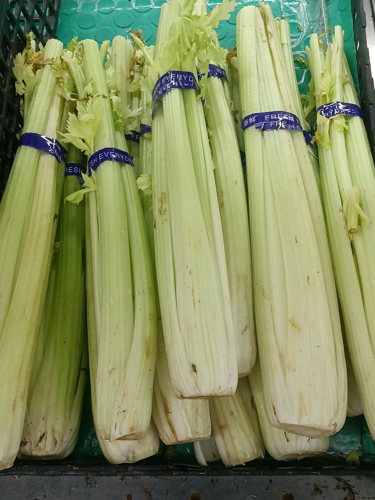 Celery