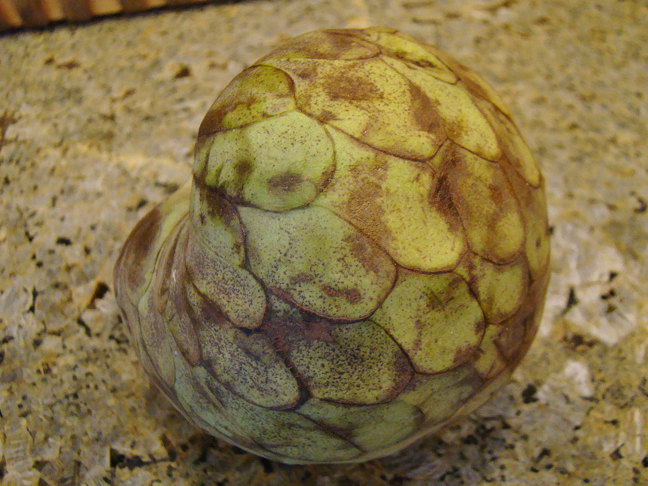 Cherimoya