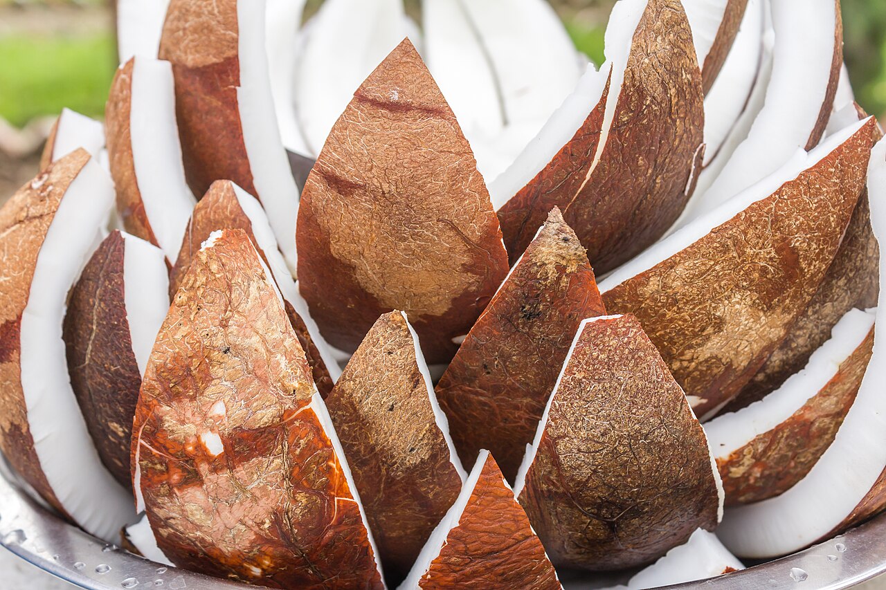 Coconut