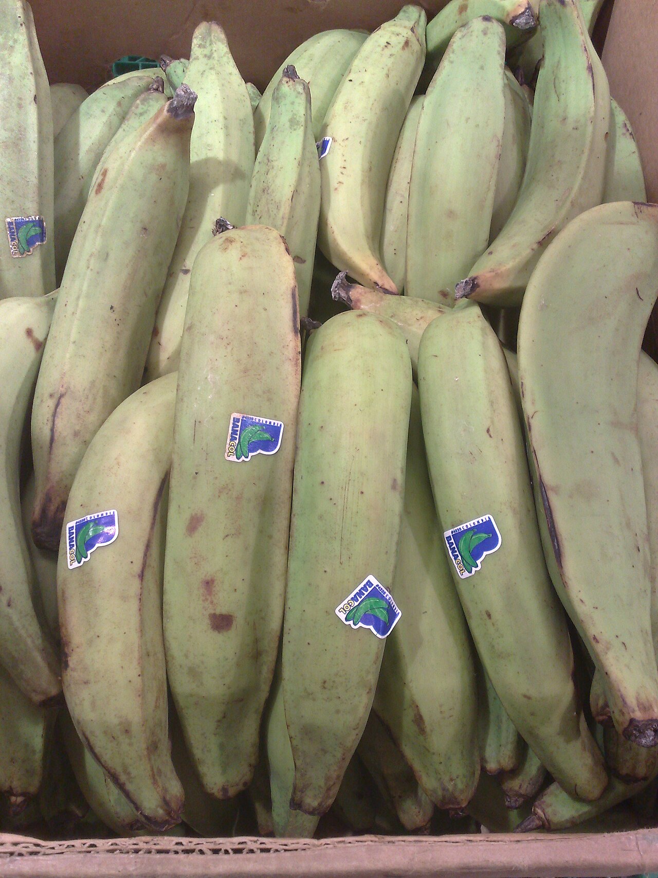 Cooking banana