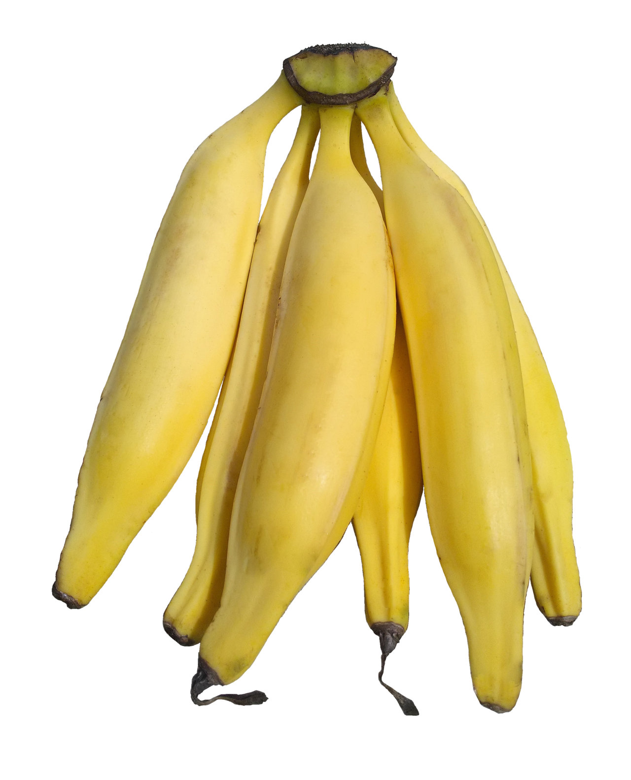 Cooking banana