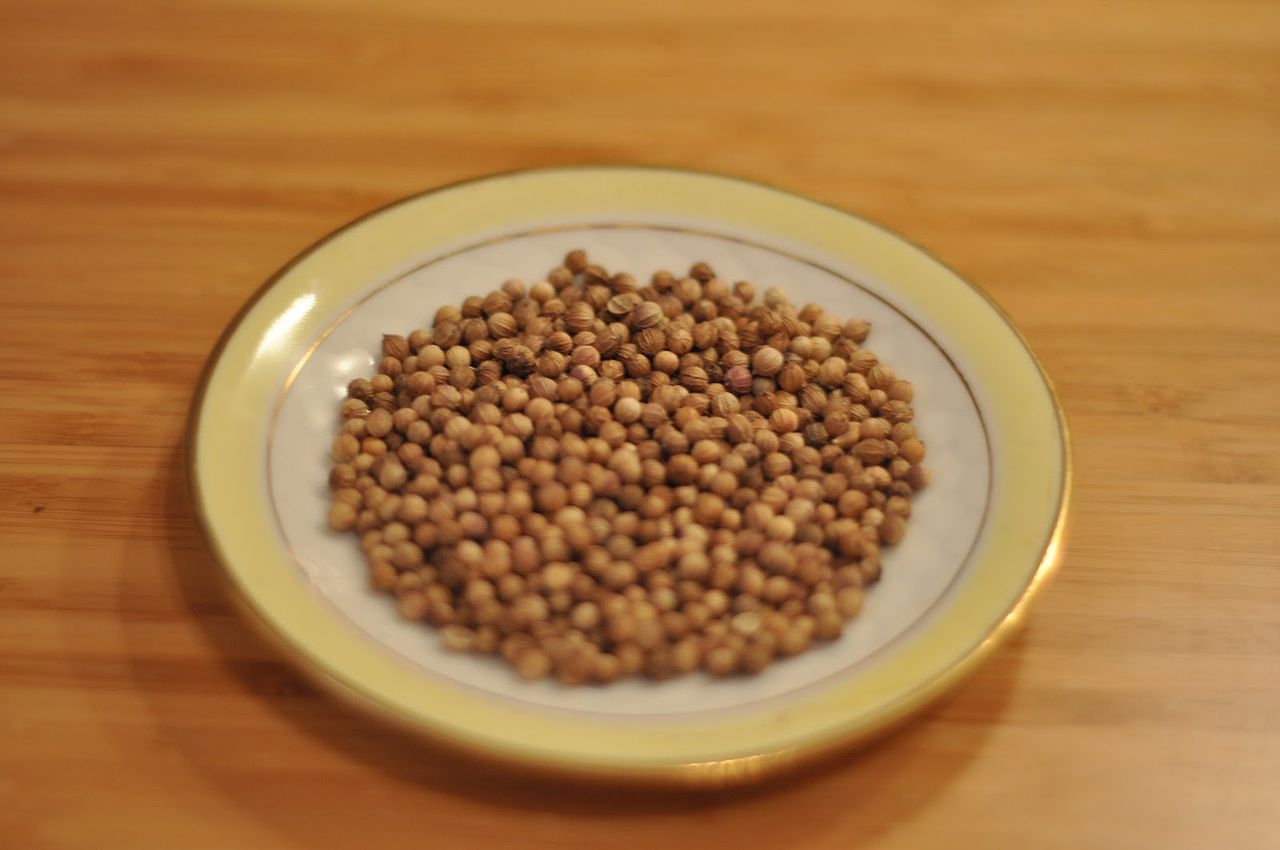 Coriander seed