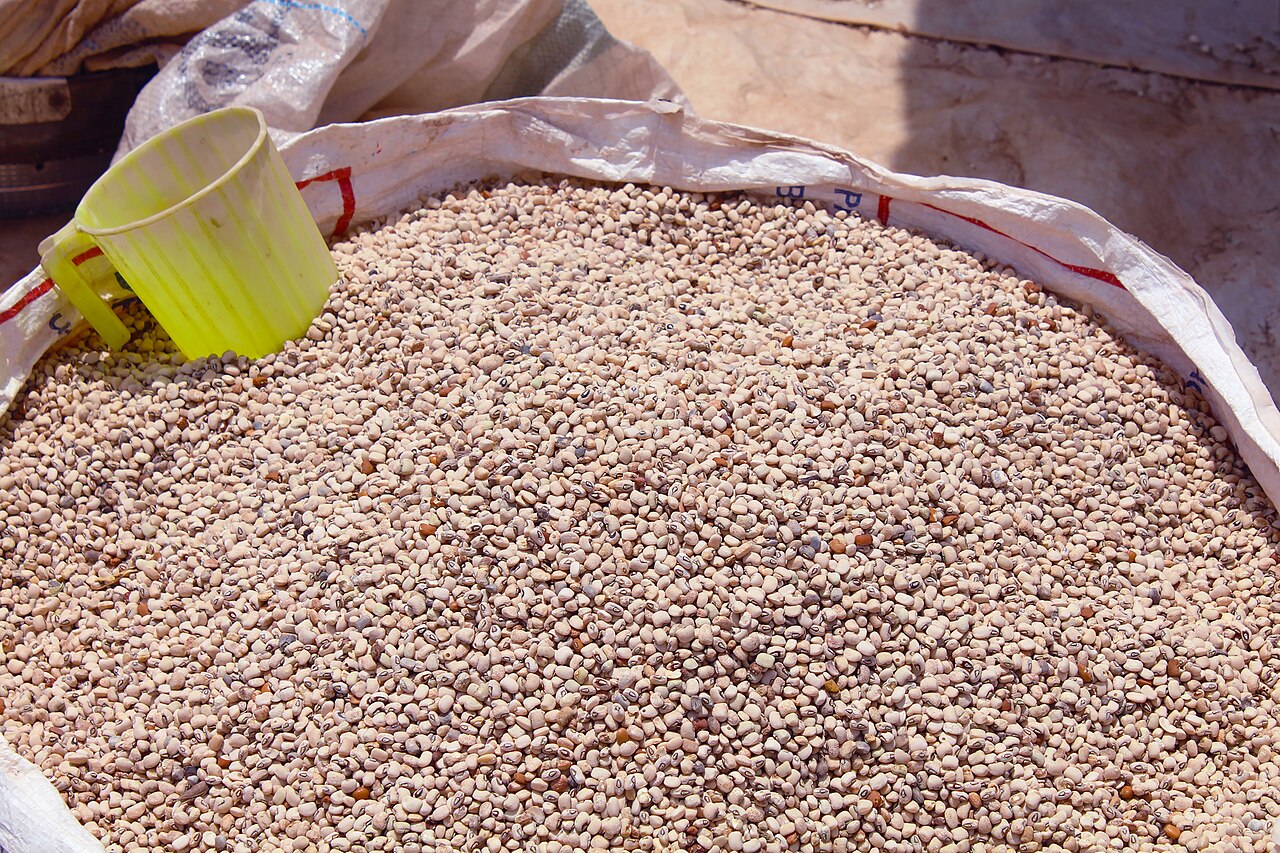 Cowpea