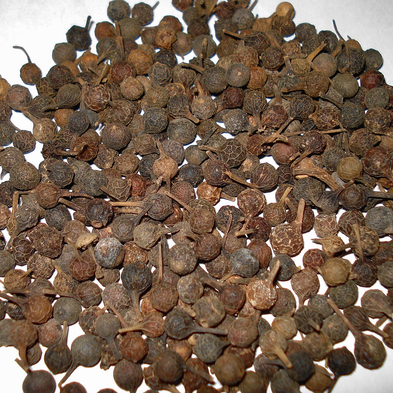 Cubeb pepper