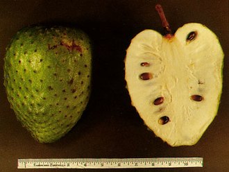 Custard apple