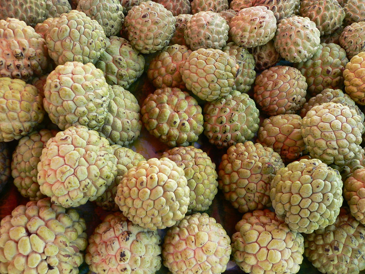 Custard Apples