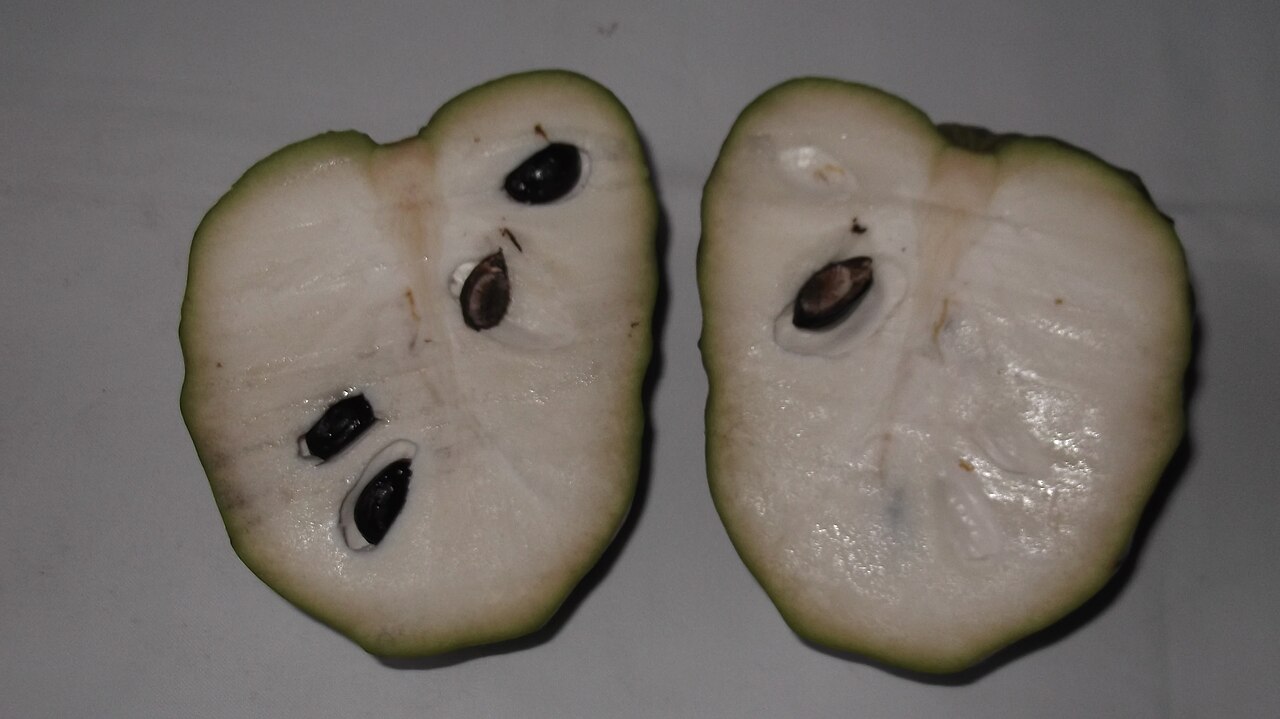 Custard Apples