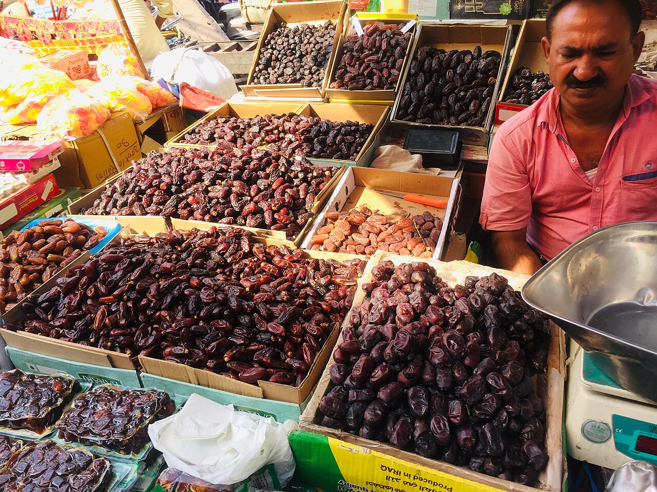 Date palm fruit