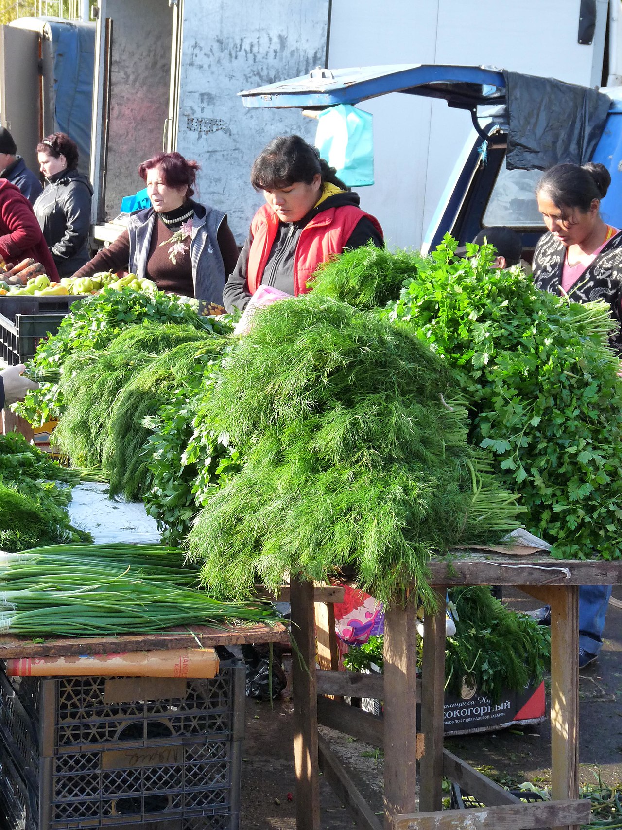 Dill