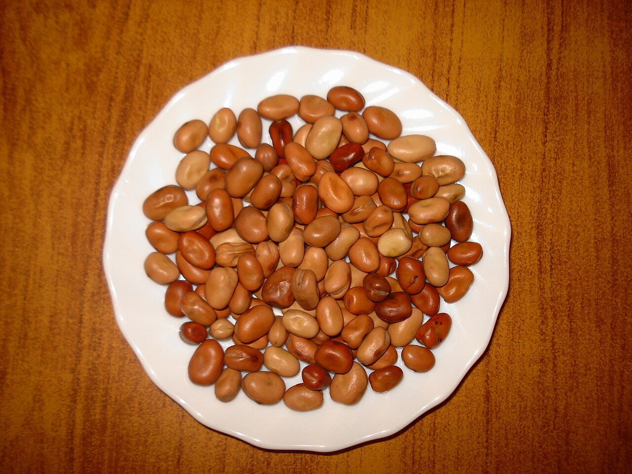 Dry bean