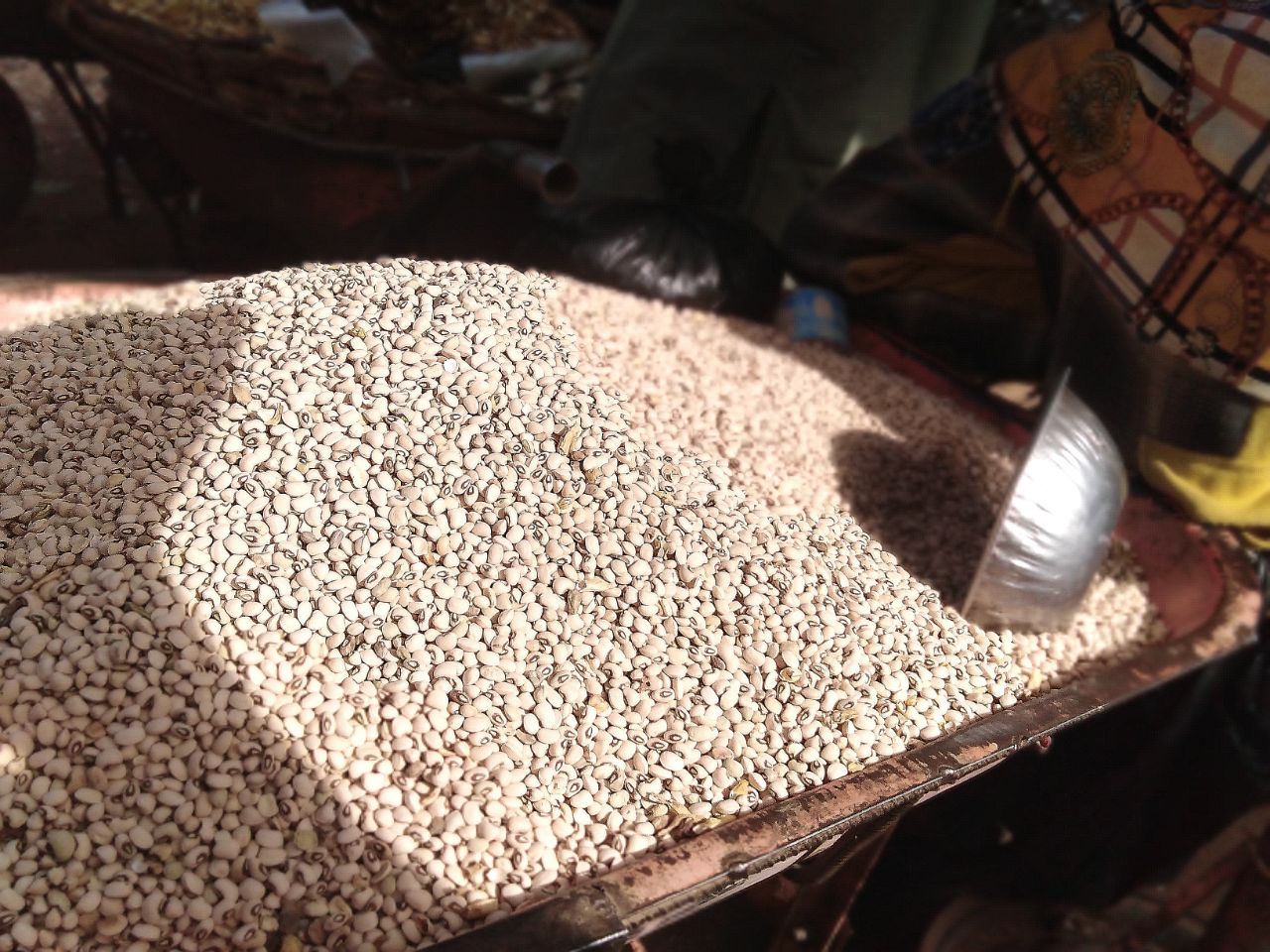 Dry bean