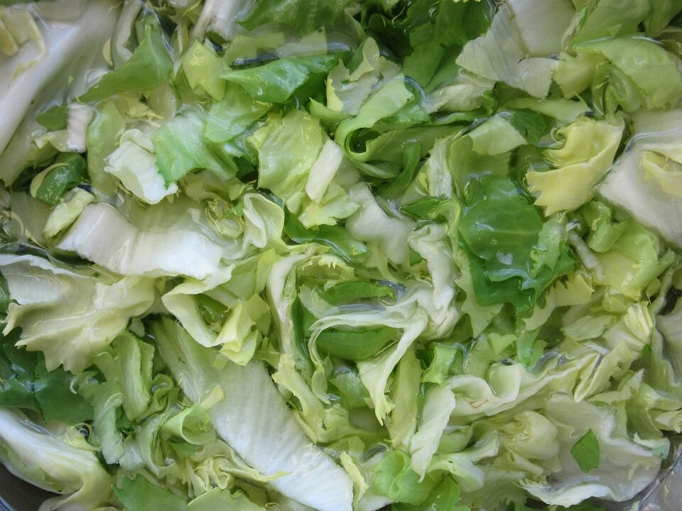Endive
