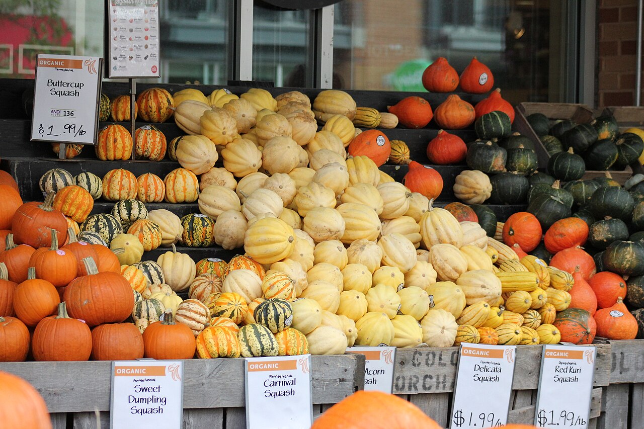 Gourds
